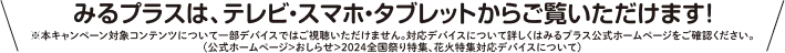 みるプラスは、テレビ・スマホ・タブレットからご覧いただけます！　※本キャンペーン対象コンテンツについて一部デバイスではご視聴いただけません。対応デバイスについて詳しくはみるプラス公式ホームページをご確認ください。（公式ホームページ＞おしらせ＞2024全国祭り特集、花火特集対応デバイスについて）