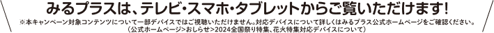 みるプラスは、テレビ・スマホ・タブレットからご覧いただけます！　※本キャンペーン対象コンテンツについて一部デバイスではご視聴いただけません。対応デバイスについて詳しくはみるプラス公式ホームページをご確認ください。（公式ホームページ＞おしらせ＞2024全国祭り特集、花火特集対応デバイスについて）